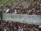 image of grave number 199221